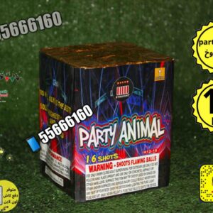راجمه 16 صاروخ party