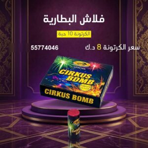 فلاش البطارية عروض اجتماعات العائلة