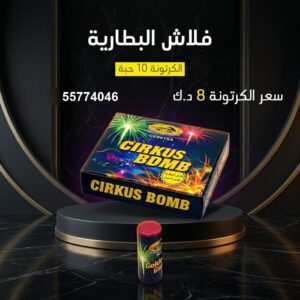 فلاش البطارية لاجتماعات العائلة