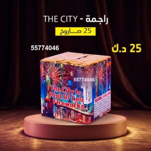 راجمة The City لاجتماعات العائلة