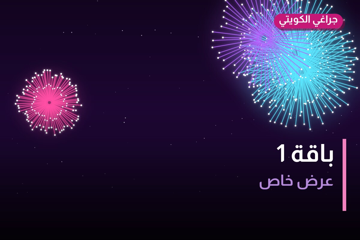 دليل باقة 1: كل ما تحتاج معرفته قبل الطلب