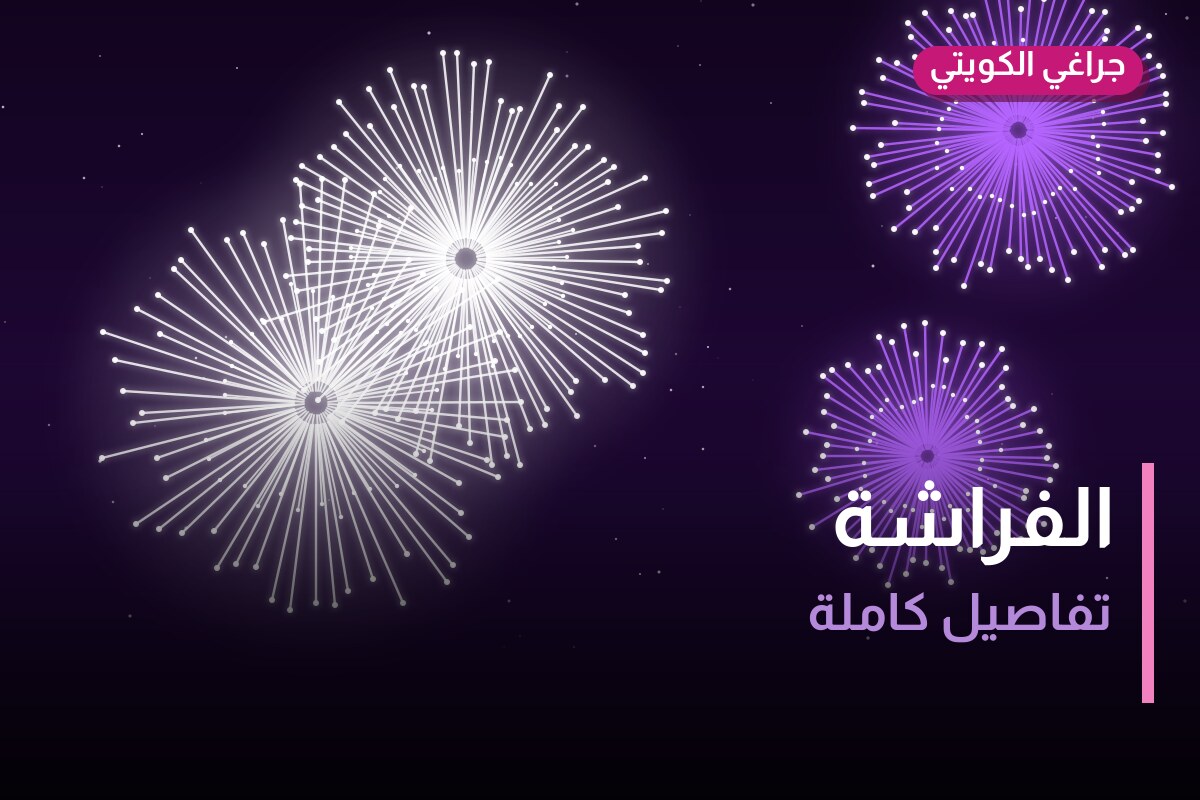 دليل الفراشة: كل ما تحتاج معرفته قبل الطلب
