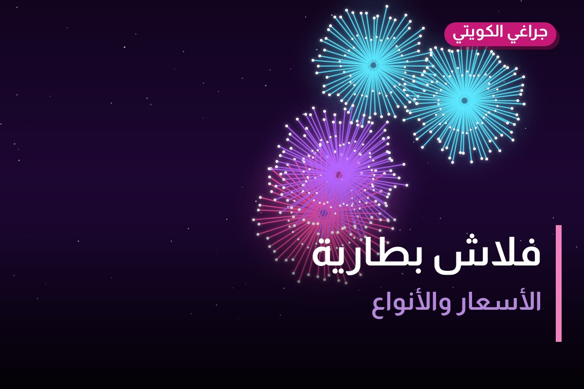 فلاش بطارية: السعر والمواصفات الكاملة