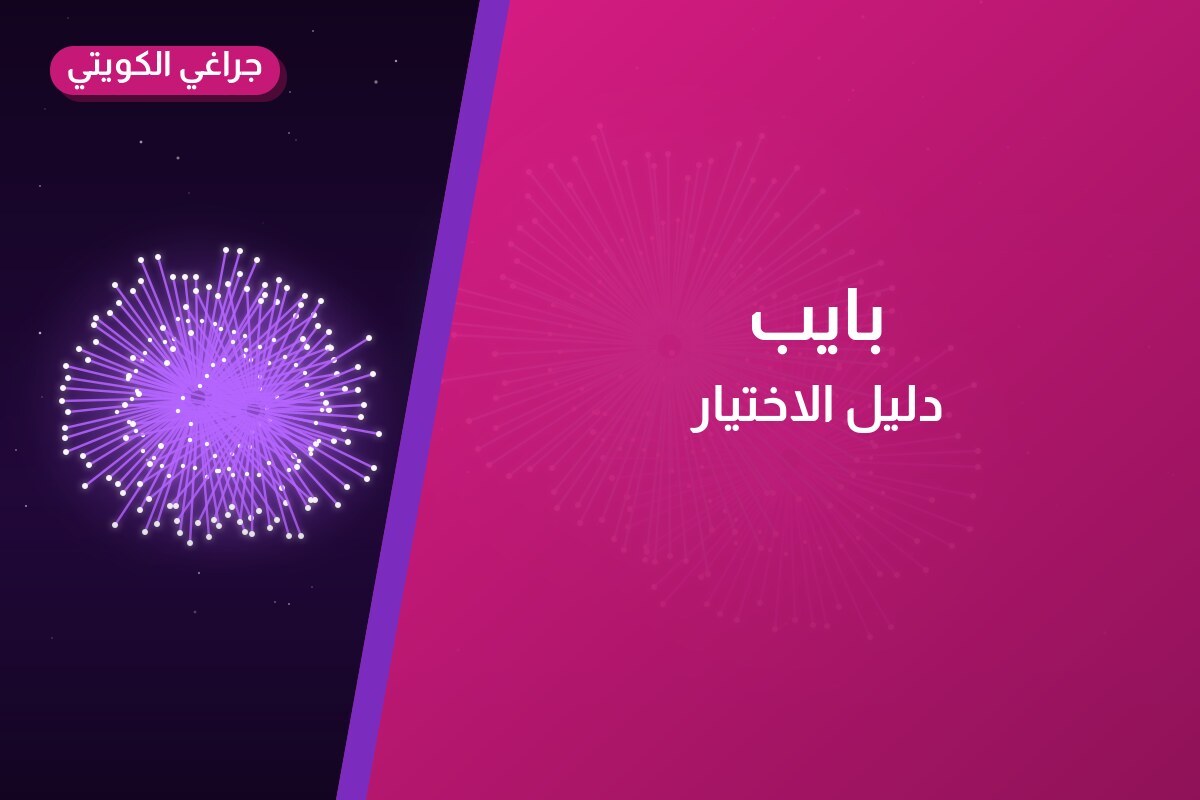 بايب: السعر والمواصفات الكاملة