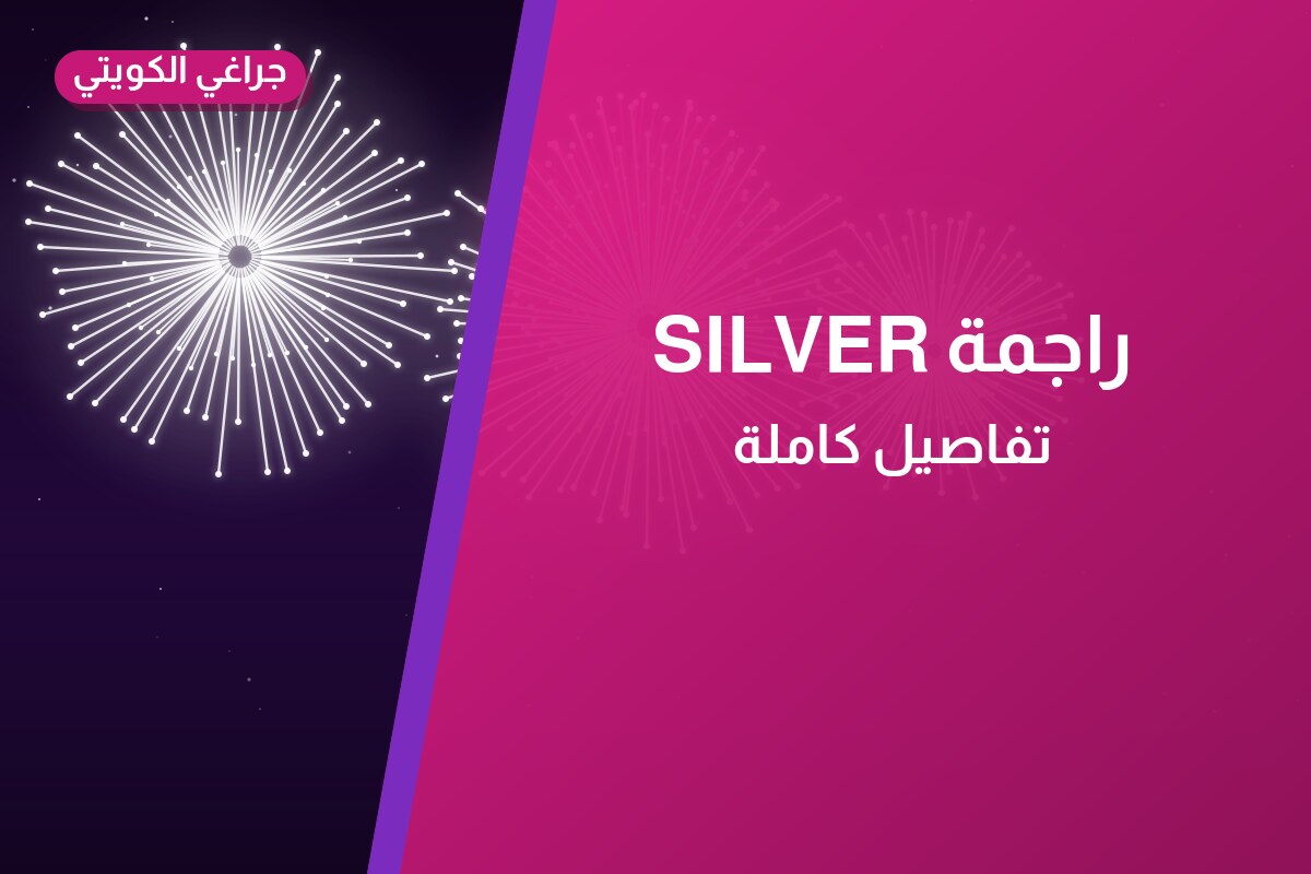 راجمة SILVER: السعر والاستخدام الآمن وأفضل المناسبات